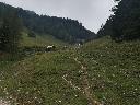IMG_20190731_151651